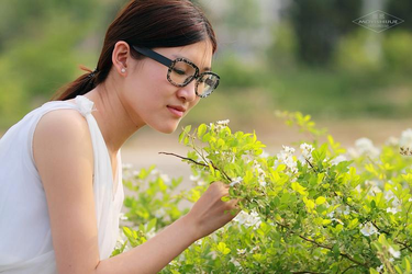 澳门周公神算网资料9795功能界面